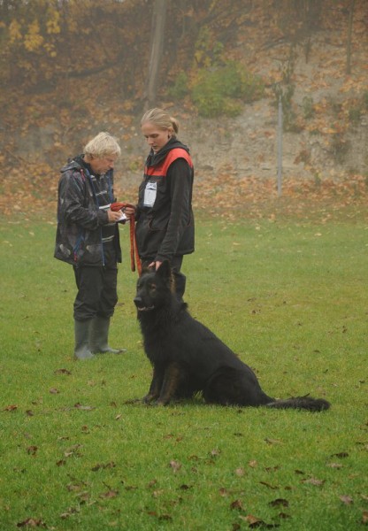 Zvod o pohr msta Sadsk 20.10.2012